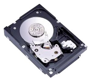 Fujitsu MAT3300FC internal hard drive 300 GB 10000 RPM 8 MB 3.5" Fibre Channel