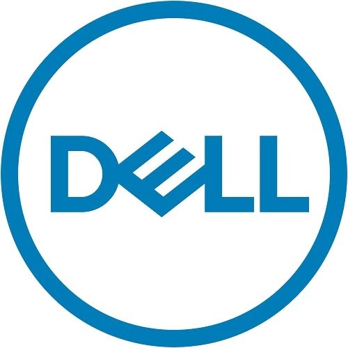 DELL 400-ANOL internal solid state drive 960 GB 2.5" SAS MLC