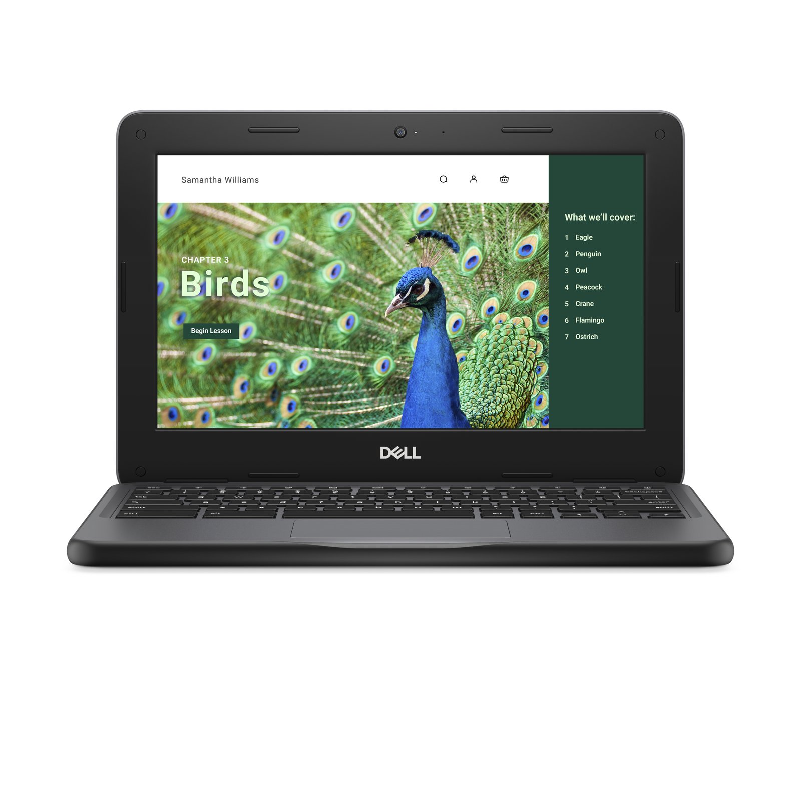 DELL Chromebook 3120 Intel® N N100 29.5 cm (11.6") Touchscreen HD 4 GB 64 Flash Wi-Fi 6 (802.11ax) 62PNR