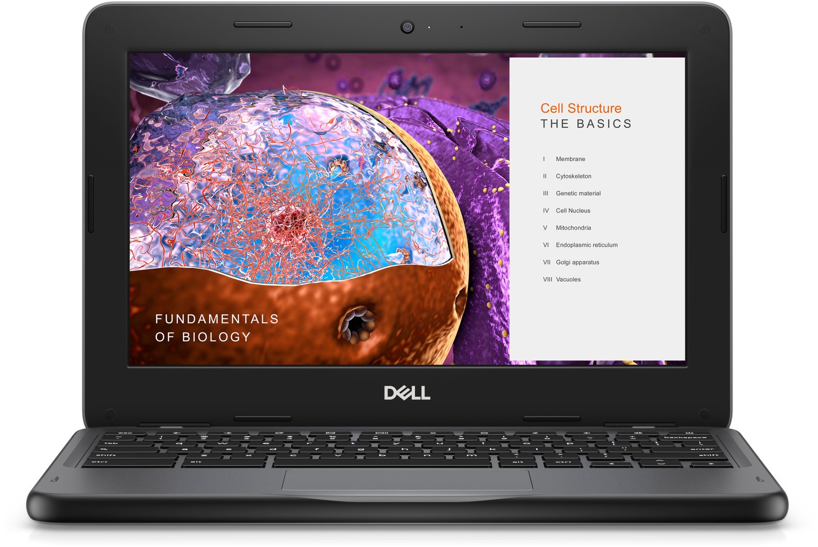 DELL Chromebook 3110 Intel® Celeron® N N4500 29.5 cm (11.6") Touchscreen HD 4 GB LPDDR4x-SDRAM 32 05TGT