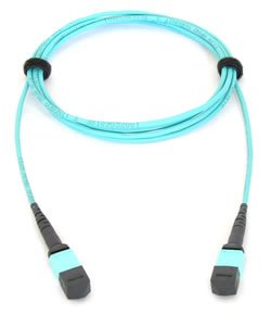 Allied Telesis AT-MTP12-1 InfiniBand/fibre optic cable 1 m MTP